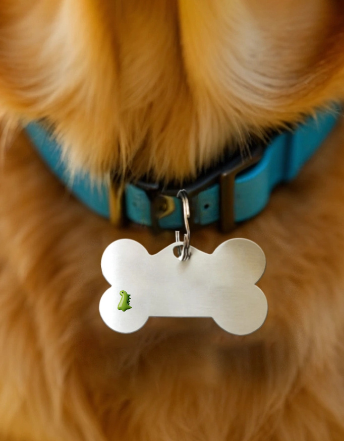 Pet Tags