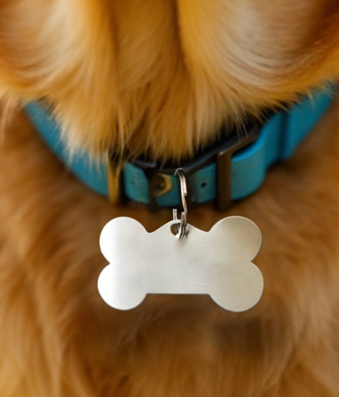 Pet Tags